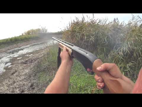 Видео: охота на утку с подхода классика