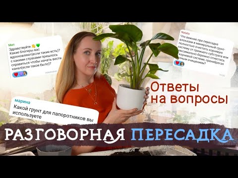 Видео: Большая РАЗГОВОРНАЯ ПЕРЕСАДКА | Отвечаю на вопросы подписчиков 💚