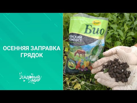 Видео: ГОТОВИМ ГРЯДКИ ОСЕНЬЮ К ЗИМЕ,  Как подготовить почву к следующему сезону после снятия урожая.