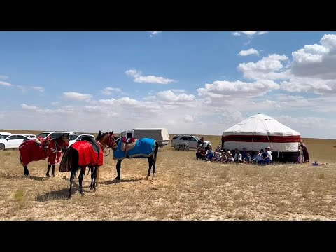 Видео: Қызан ауылының атбегі-сейістері. 14 08 2024 ж. Қызан-Көкой