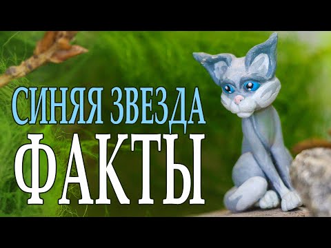 Видео: История Синей Звезды. Интересные факты о ней. КОТЫ ВОИТЕЛИ.