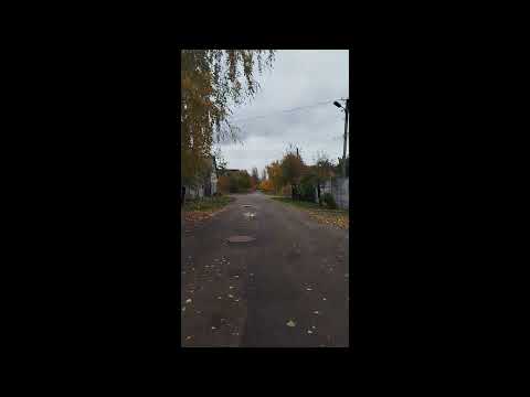 Видео: Вулиця в глушині. / Street in remote place.