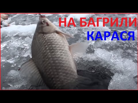Видео: ХИТРАЯ СНАСТЬ И БАГРИТ И ЛОВИТ КАРАСЯ ЗИМОЙ! рыбалка на крупного карася.