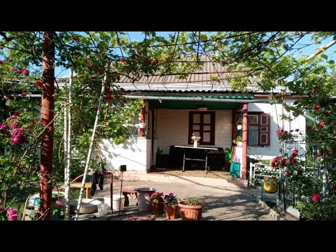 Видео: Продам будинок в селі Васютинці, Черкаська область 