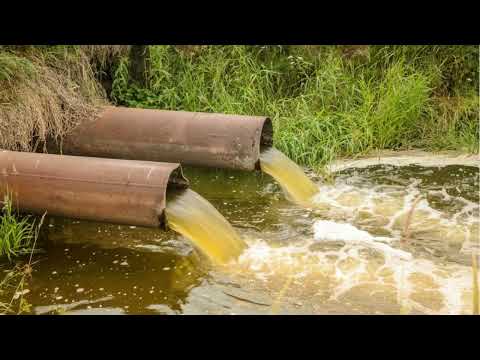 Видео: Жамбыл облысының экологиялық жағдайы