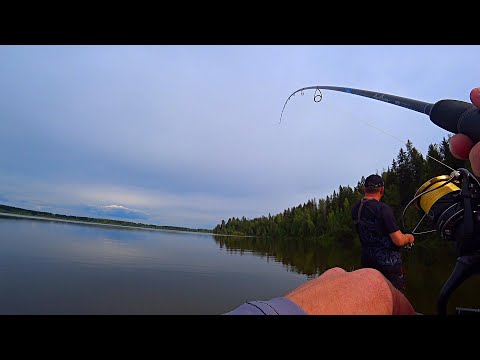 Видео: ЛОВЛЯ СУДАКА НА ДЖИГ. БЕЗ ПАНОПТИКСА. ОТКРЫТИЕ СЕЗОНА. рыбалка на спиннинг