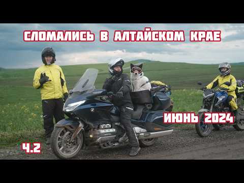 Видео: Мотопутешествие на Алтай с собакой. Июнь 2024. ч.2