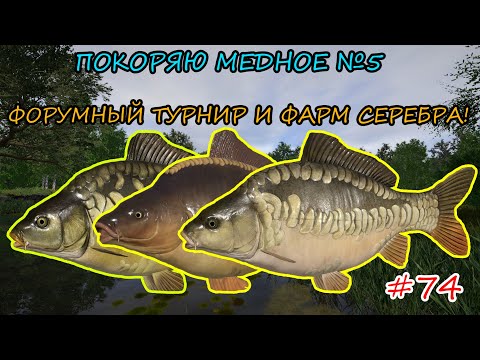 Видео: ПОКОРЯЮ МЕДНОЕ №5 - ФОРУМНЫЙ ТУРНИР / ФАРМ СЕРЕБРА + РОЗЫГРЫШИ НА TROVO! #shorts