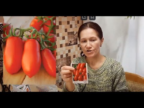 Видео: ТОМАТЫ НИЗКОРОСЛЫЕ  БЕЗ ПАСЫНКОВАНИЯ СОРТА ДЛЯ ОТКРЫТОГО ГРУНТА