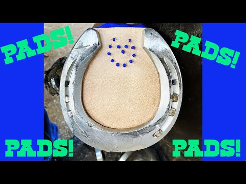 Видео: Все о прокладках!