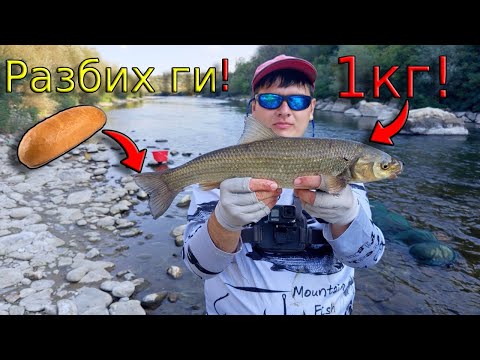 Видео: В търсене на ТРОФЕЙНИ СКОБАРИ с ДИРЕКТЕН телескоп! Риболов на ТРОХА с приятели по река Струма!