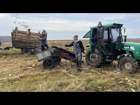Видео: Сімейний збір кукурудзи! Заповнення сушки для качанів!