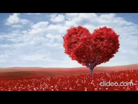 Видео: Люблю - что может быть прекрасней (I love you - what could be more beautiful?) 💖