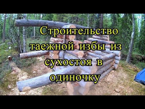 Видео: Строительство лесной избушки(зимовья) "глухариная"в одиночку.Жизнь в тайге.