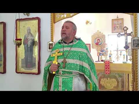 Видео: ГОСПОДЬ ЛЕПИТ НАШИ ДУШИ СКОРБЯМИ. Священник Игорь Сильченков.