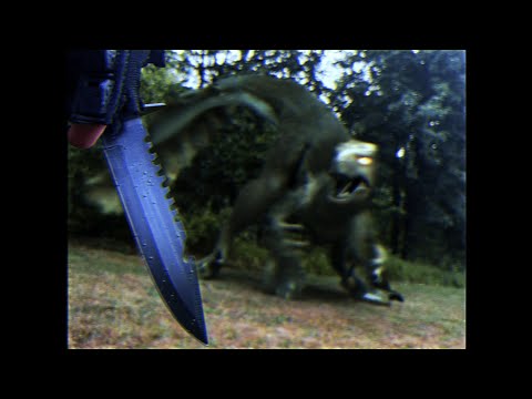 Видео: Доисторическое возникновение: Корабль ужаса