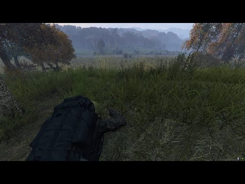 Видео: DAYZ. Сервер Full365. Придёт серенький волчок