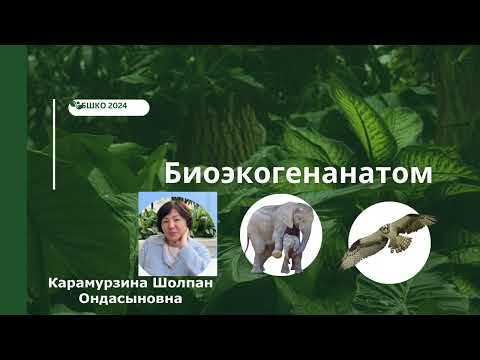 Видео: Өсімдік ұлпалары ҰБТ сұрақтары#биология#паренхима#склеренхима #негізгіұлпа#тірекұлпа#ксилема#флоэма
