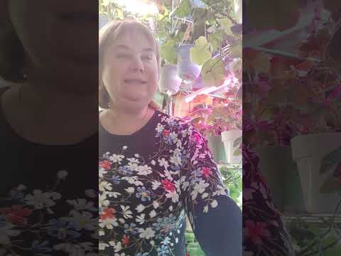 Видео: эстафета Анны Пирматовой @Anna_Pirmatova