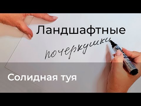 Видео: Ландшафтные почеркушки. Солидная туя.