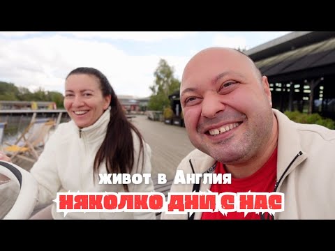 Видео: ЕЛИ МЕ ИЗЛЪГА ДА И КУПЯ НОВА МИВКА