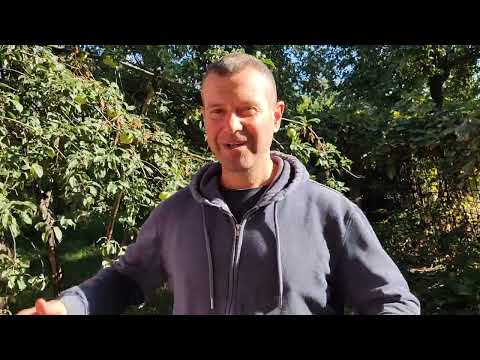 Видео: Посмотри с другой стороны на читинг