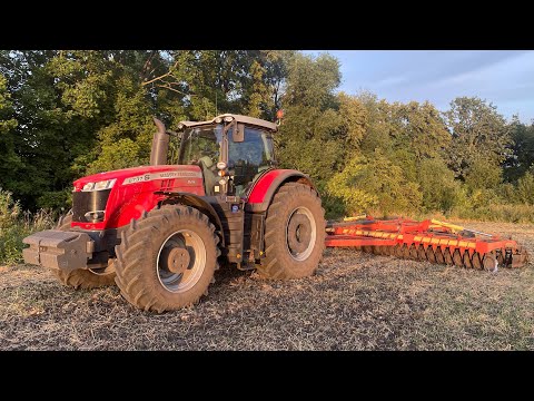 Видео: Вся бригада на одном поле | Начало Уборки Ячменя 2022 | Дискование на Massey Ferguson 8737S