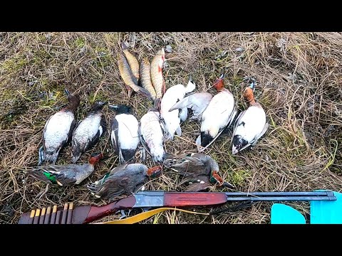 Видео: ВЕСНОВКА 2024 (новый заезд) \ Часть 4 \ УТИНАЯ ОХОТА \ РЫБАЛКА СЕТЯМИ