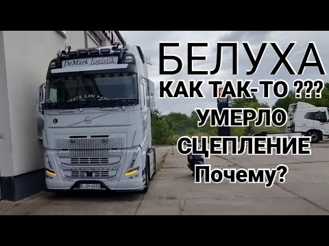 Видео: Из отпуска сразу на сервис. Что же произошло с Белухой перед моим отпуском, причина всего этого?