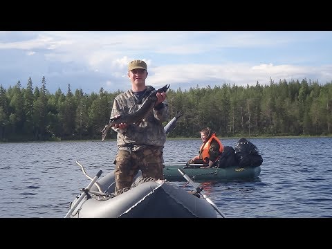 Видео: Сплав Мотко - Гимолы.