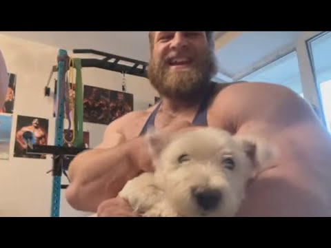 Видео: Смаев Андрей. Стрим за 09.04.2025