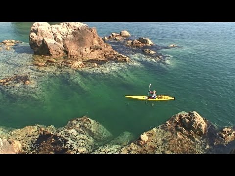 Видео: Дальневосточный Морской Заповедник на морском каяке