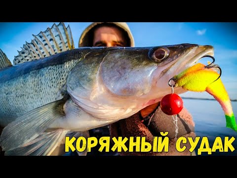 Видео: Как поймать судака в коряжнике / Ловля судака на джиг / Судак