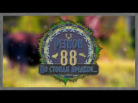 Видео: Регион 88 | Рогатый
