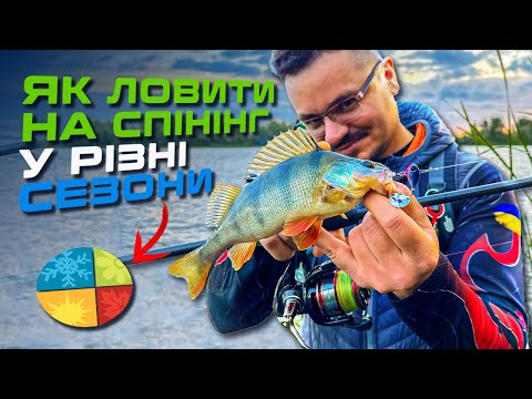 Видео: 🎣СЕЗОННІСТЬ ЛОВУ: ДЕ, КОГО, НА ЩО І КОЛИ ЛОВИТИ? — Рибальська школа Flagman! — Урок 10