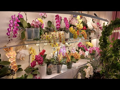 Видео: Ответы на вопросы) 10.03.25