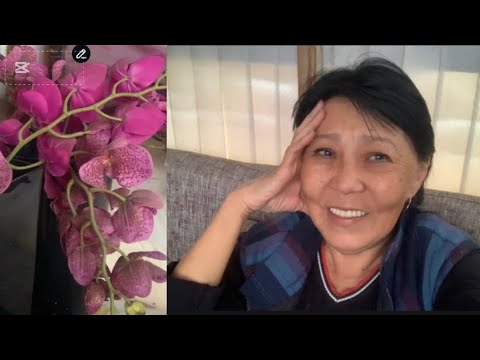 Видео: 🧷 686. Ну! И у кого из нас «осеннее обострение»? А? 🤔