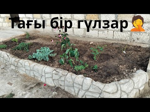Видео: Тағы бір гүлзар.