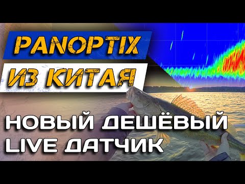Видео: НОВЫЙ БЮДЖЕТНЫЙ ПАНОПТИКС прямо в ТЕЛЕФОНЕ! Accuphy PingLive Mini. Аналог Lowrance Eagle Eye.