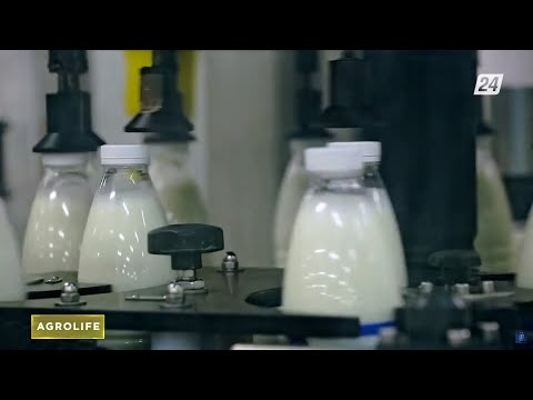 Видео: Сколько стоит создать молочный бизнес | AgroLife