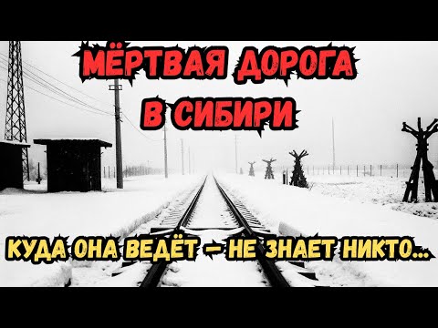 Видео: Мёртвая дорога — запрещённый проект СССР