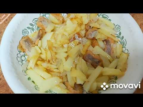 Видео: 30 дней на 1000 рублей! 26, 27, 28 день Выживания! Организм сдает...