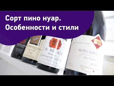 Видео: Сорт пино нуар. Особенности и стили. Лучшие регионы для пино нуара