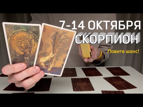 Видео: СКОРПИОН : Ловите шанс⚡️Неделя 7-14 октября 2024 таро прогноз