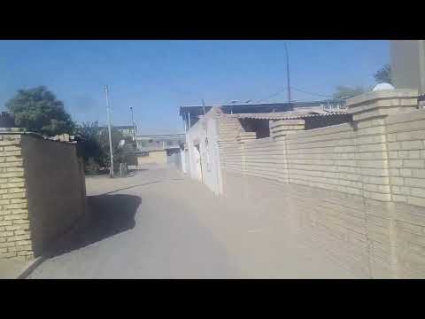 Видео: мары шатлык 2021