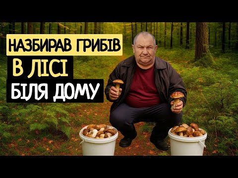 Видео: Знову на гриби. Назбирали повинні відра грибів. Ліс біля мого села, в якому я ще не бував. 