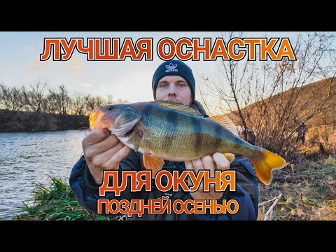 Видео: как ловить крупного окуня поздней осенью | JIG RIG как лучшая оснастка для осени | Лучшие места