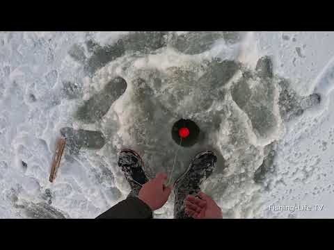 Видео: НАШЛИ САЗАНОВ И ПОЙМАЛИ... ТЕСТИРУЕМ НОВЫЕ ХАПУЖКИ. УЛОВ УДИВИЛ И ПОРАДОВАЛ.