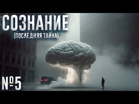 Видео: Сознание (№5)