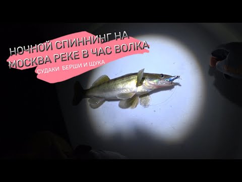 Видео: Москва река. Судак на воблеры ночью.